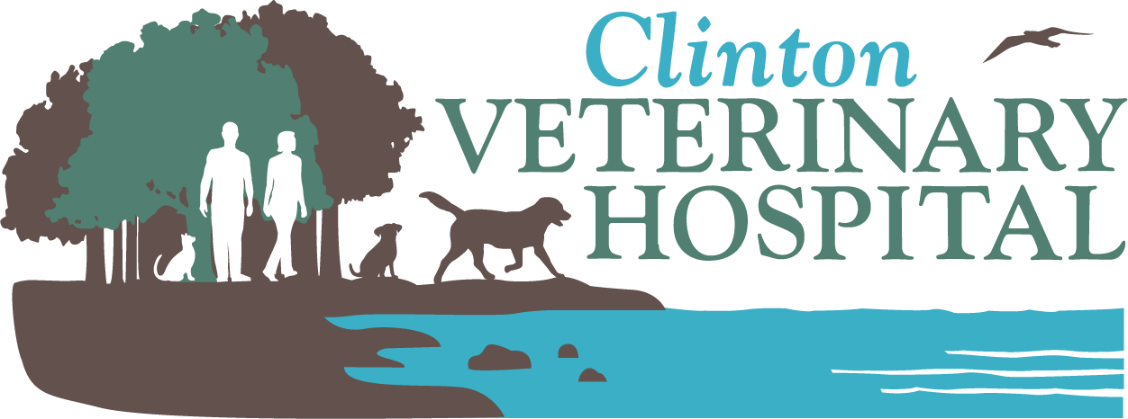 Clinton Veterinary Hospital Logo