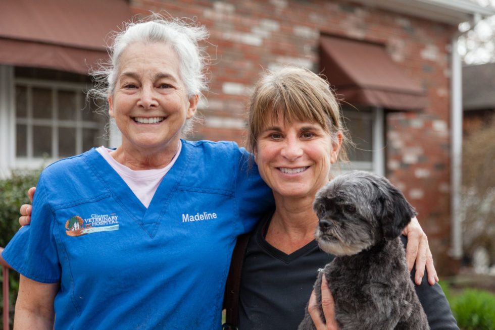 About Clinton Veterinary Hospital Vet In Clinton, CT 06413