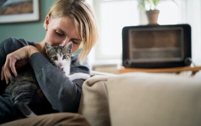 Guiding Your Pet Through Anxiety: 5 Effective Steps